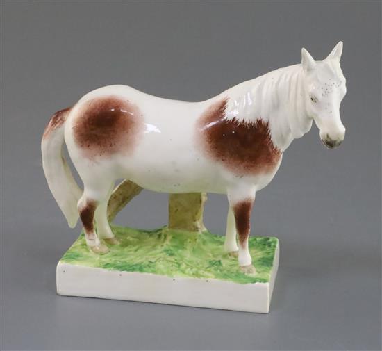 A previously undocumented Rockingham porcelain figure of a skewbald pony, c.1830, L. 15cm